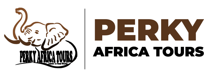 Perky Africa Tours