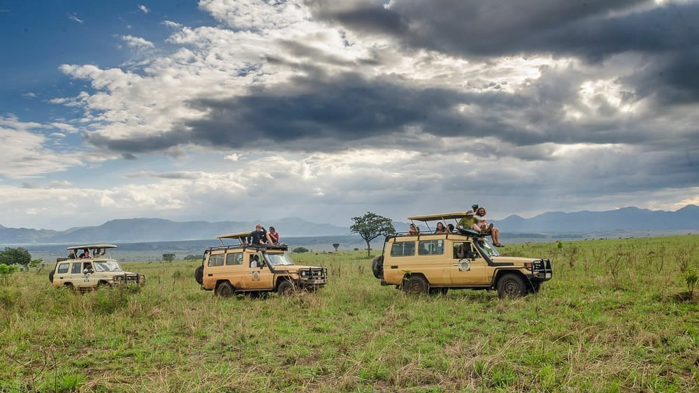 Murchison falls